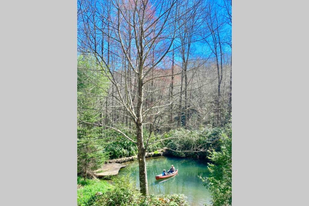 Affittacamere Hideaway At Harvest Moon Sylva Esterno foto