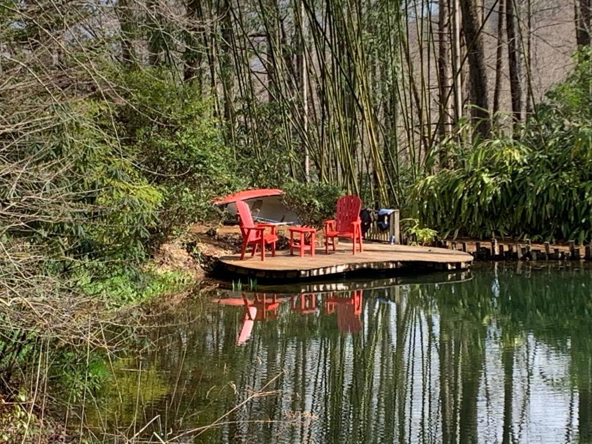 Affittacamere Hideaway At Harvest Moon Sylva Esterno foto